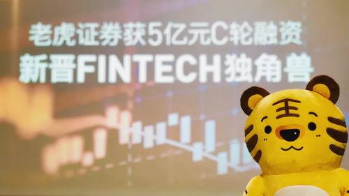 tiger吃瓜,揭秘动物界的趣味瞬间