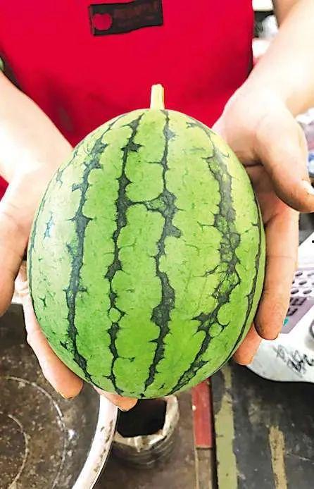 青岛恒星吃瓜视频,揭秘幕后真相