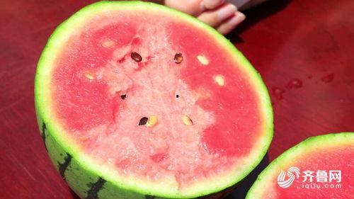 夏庄吃瓜事件,一场引发全民热议的网络狂欢