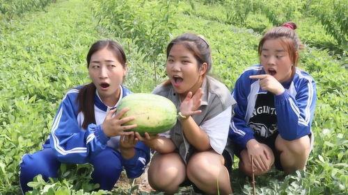 姐妹们吃不吃瓜,吃瓜还是不吃瓜,这成了新话题?