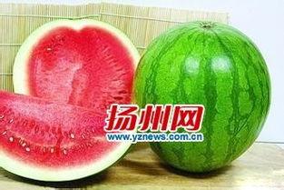 籽瓜怎么吃最好,这样吃最营养!