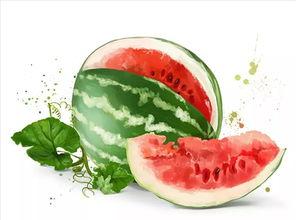 彩虹糖甜蜜吃瓜